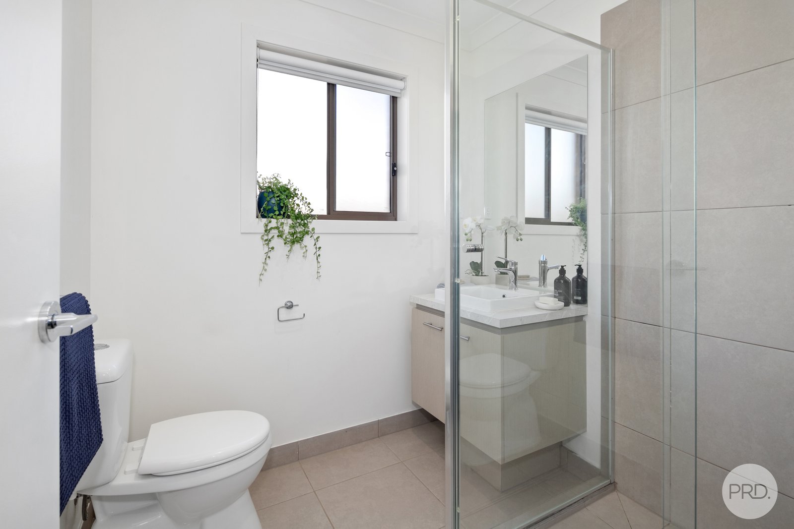 58 Telluride Drive WINTER VALLEY 4