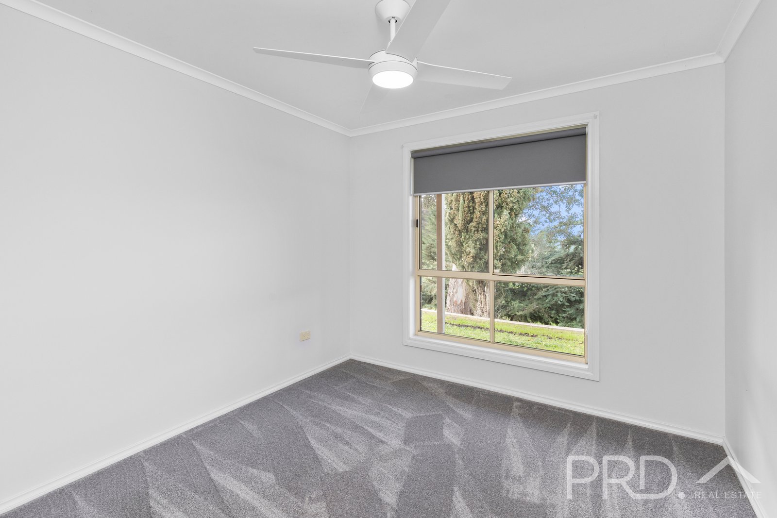 58 Wallaby Lane GOCUP 11