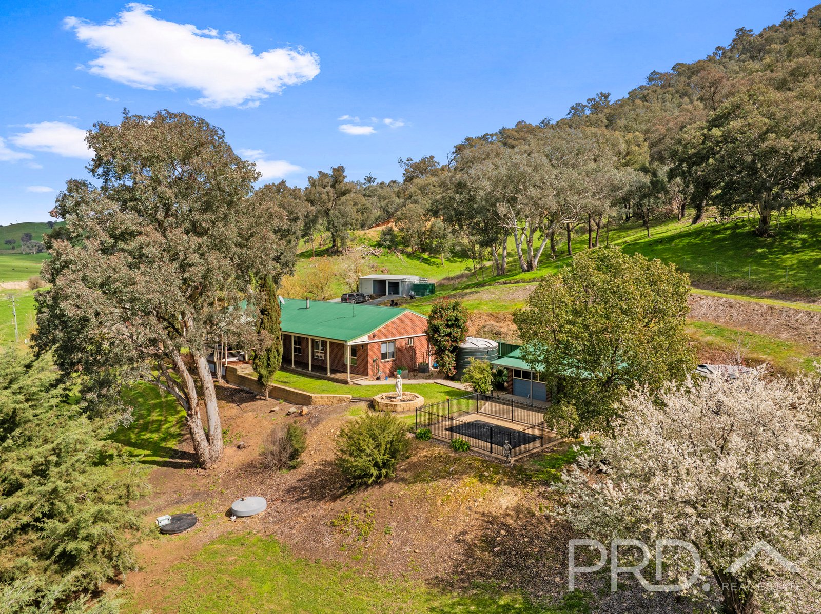 58 Wallaby Lane GOCUP 26