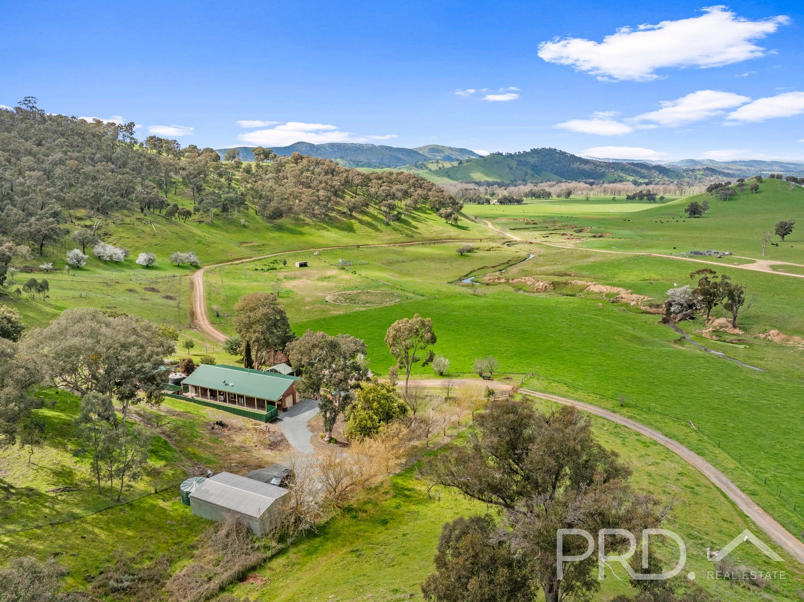 58 Wallaby Lane GOCUP 27
