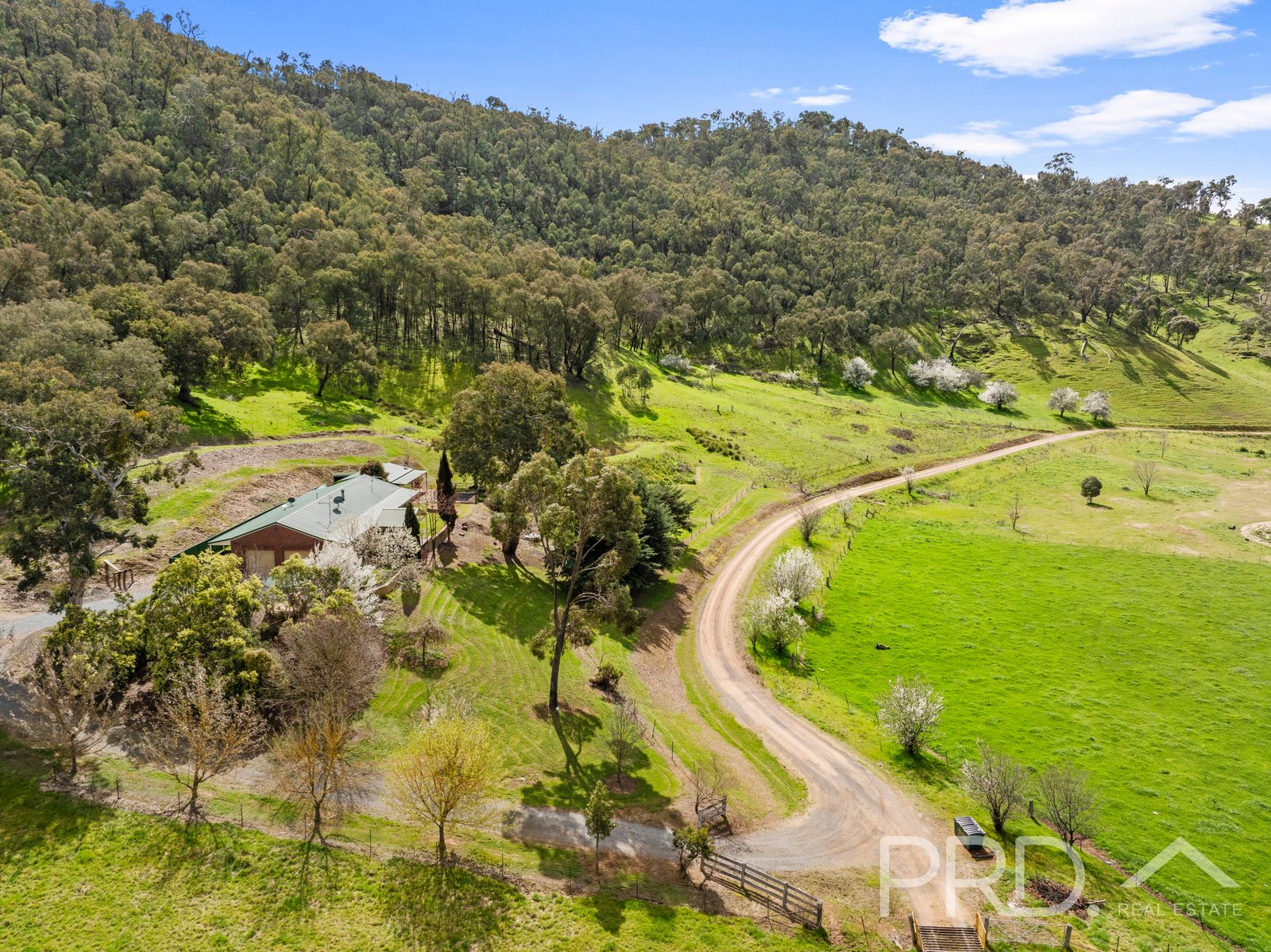 58 Wallaby Lane GOCUP 28