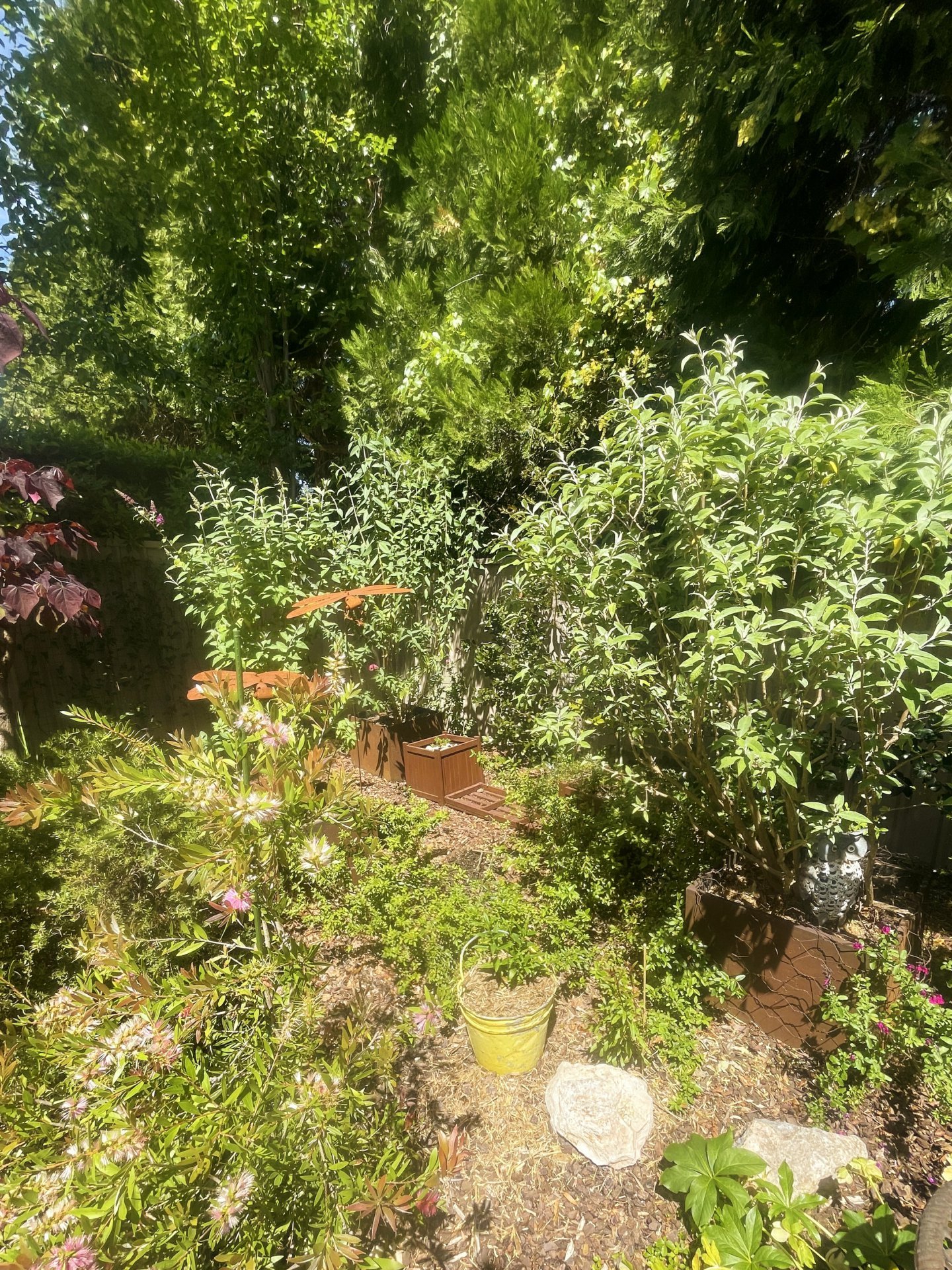 5/80B Forbes Road ORANGE 13