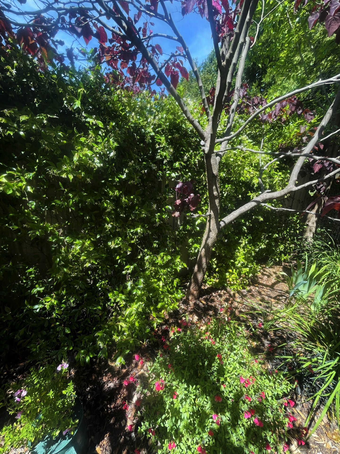 5/80B Forbes Road ORANGE 12