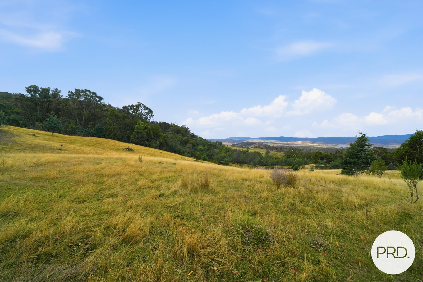 584 Yarlington Road COLEBROOK 2