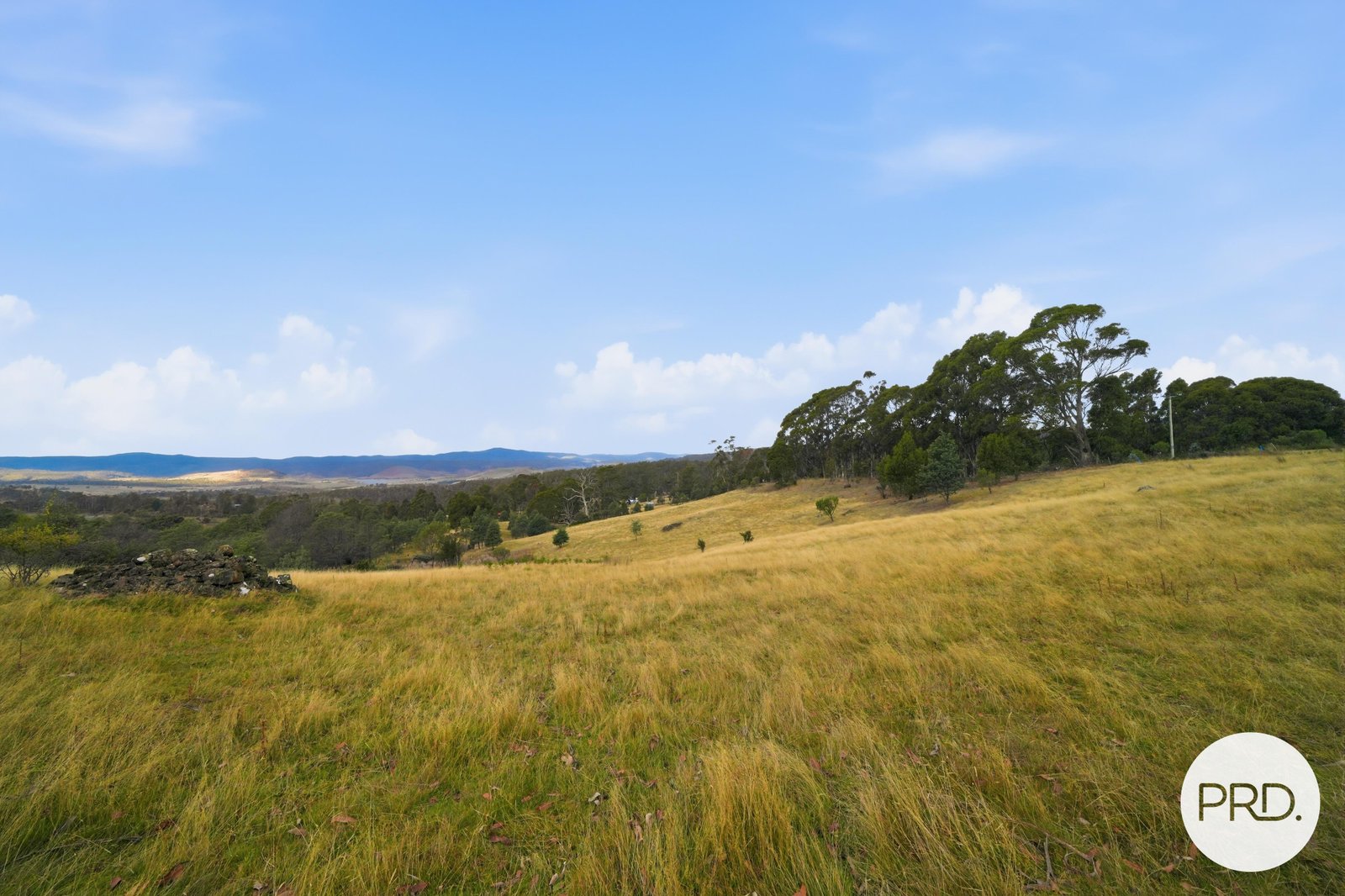 584 Yarlington Road COLEBROOK 3