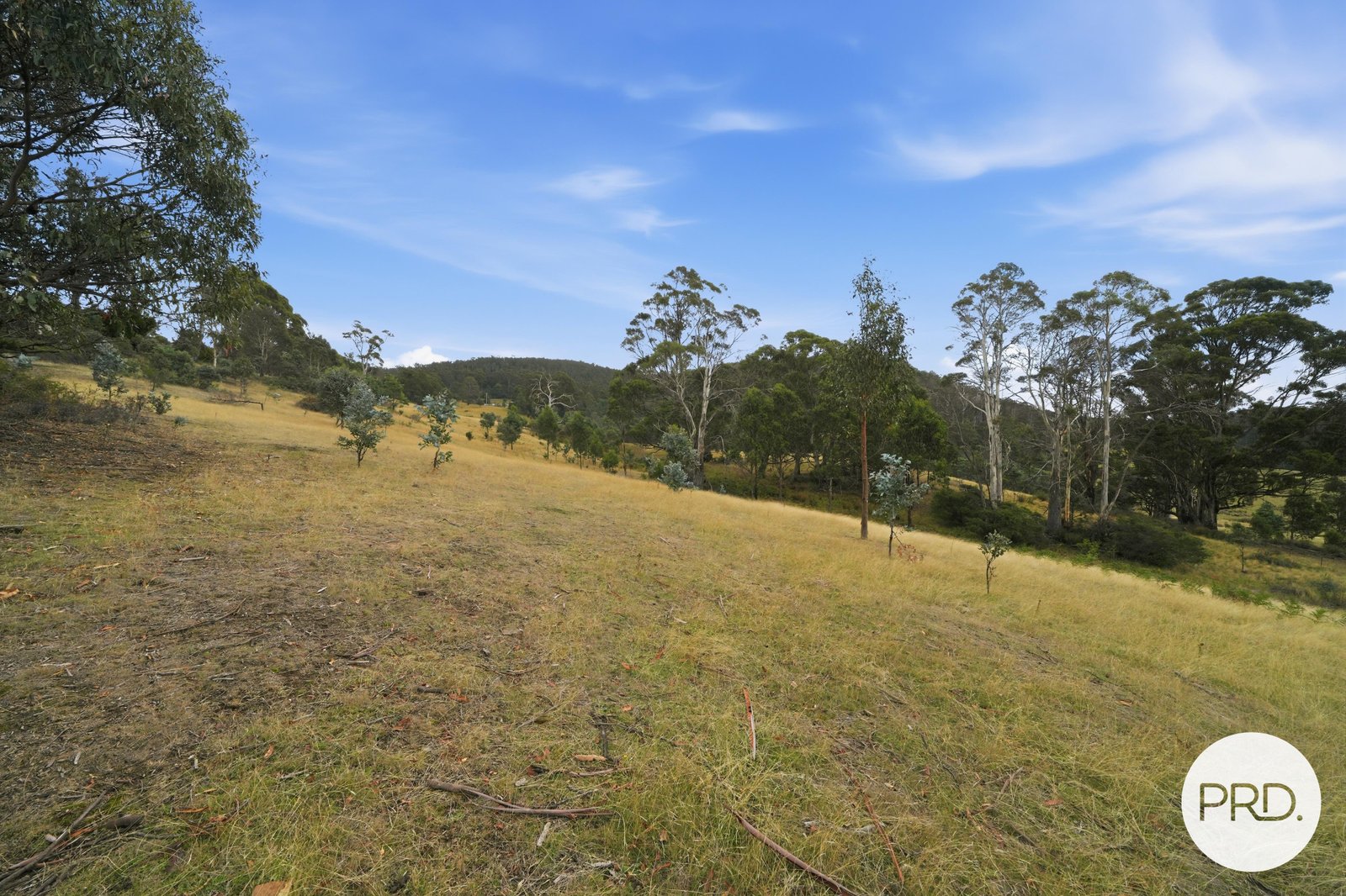 584 Yarlington Road COLEBROOK 10