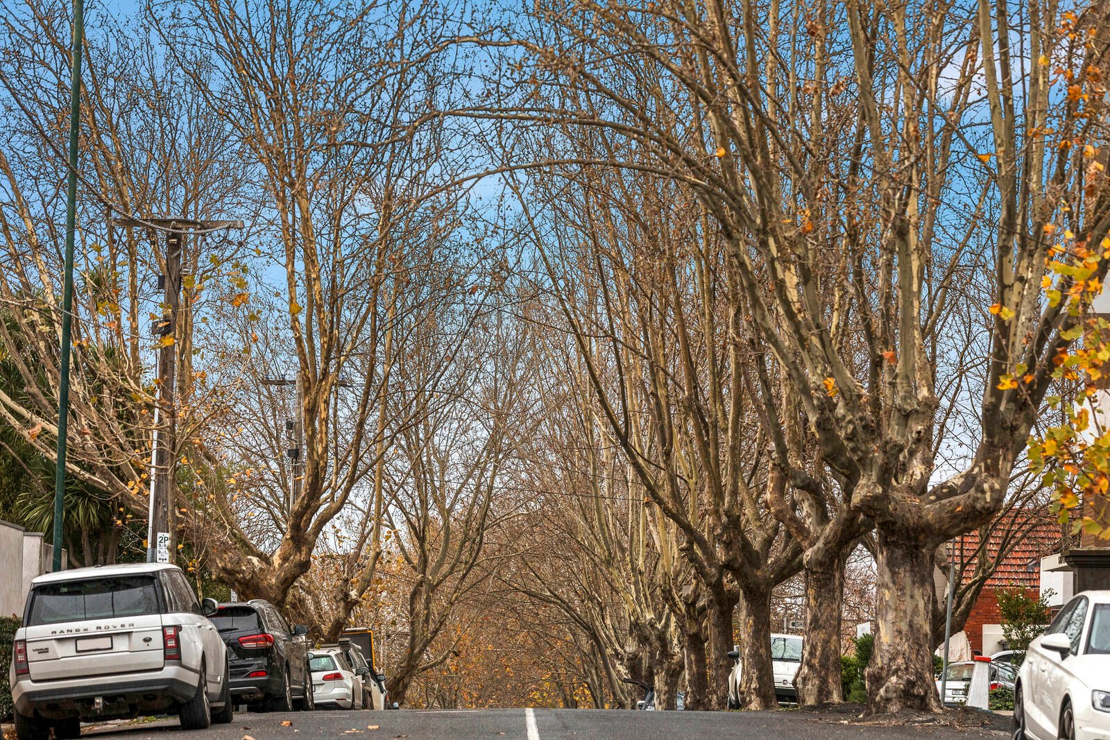 Real Estate and Property in 5/87 Caroline Street, South Yarra, VIC