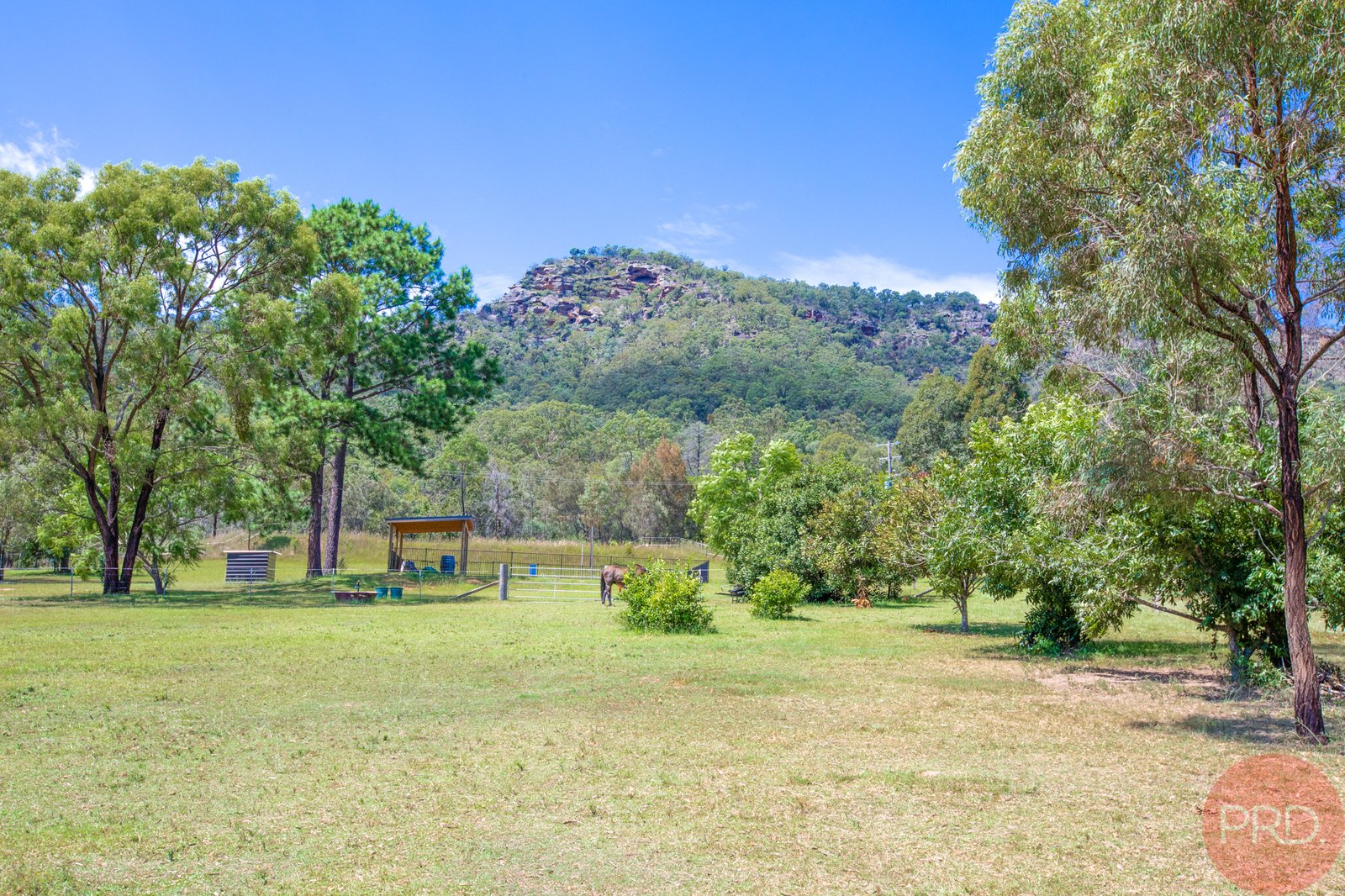 587 Wollombi Road BROKE 30