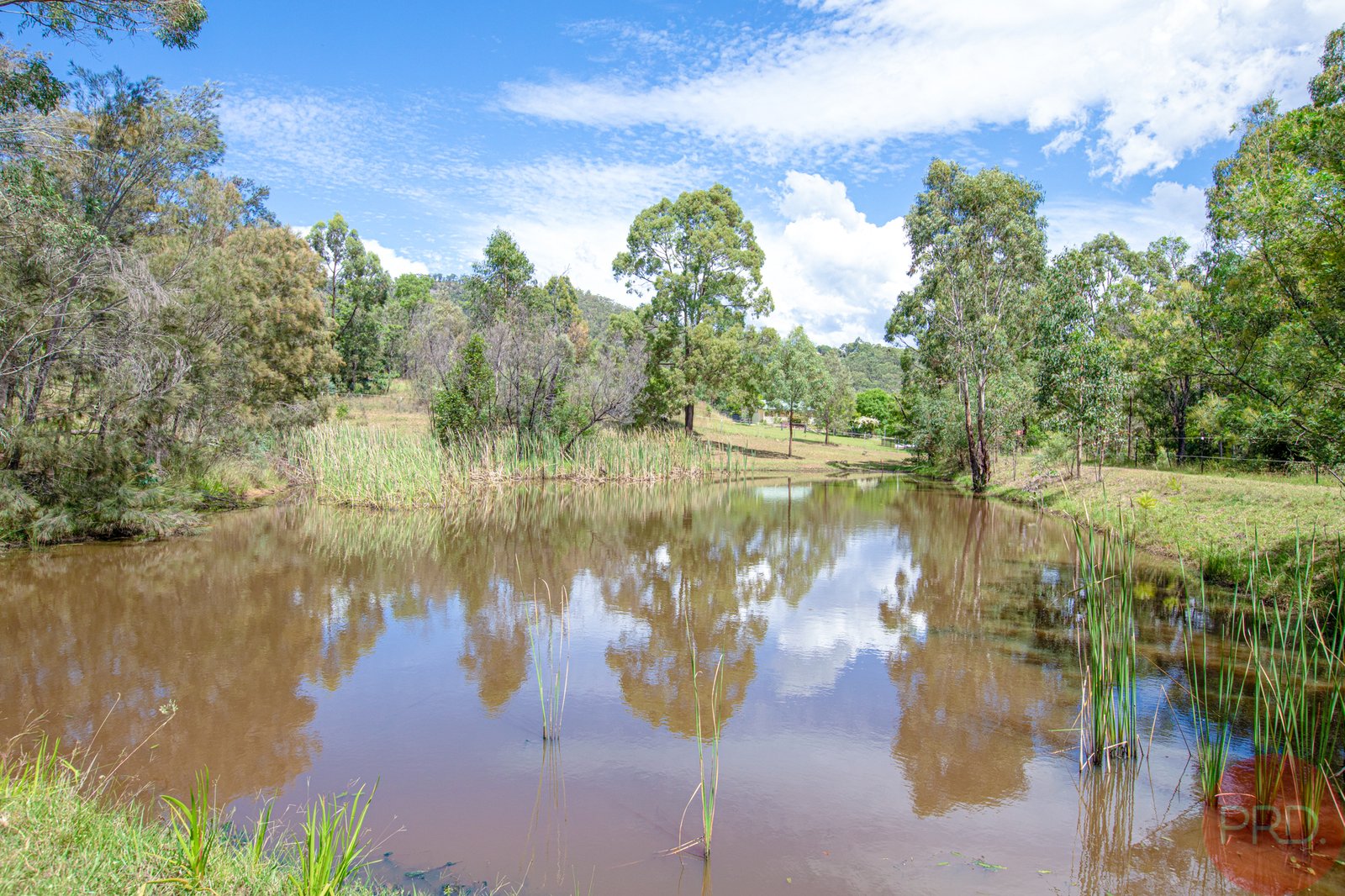 587 Wollombi Road BROKE 34
