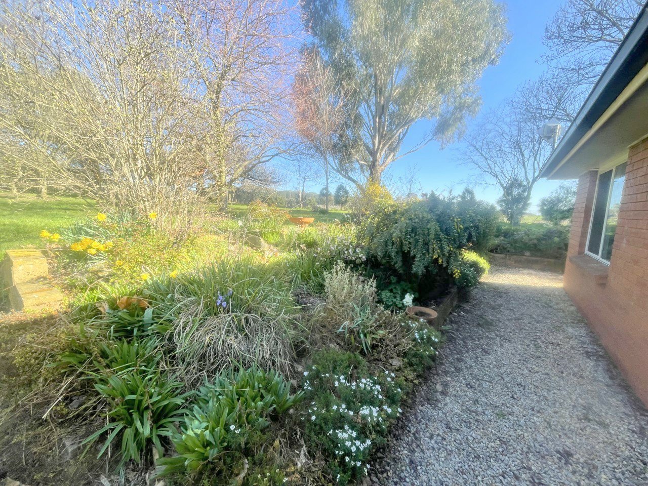 589 Cadia Road ORANGE 9