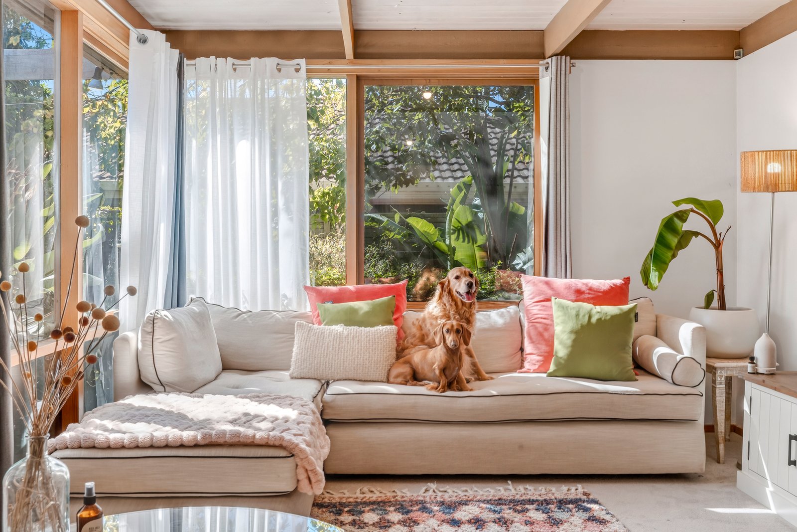 Gallery: 59 Christies Road