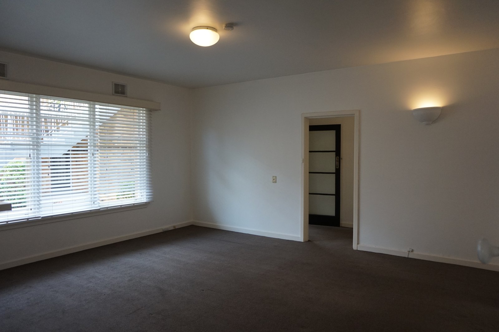 Gallery: 5/9 Collington Avenue