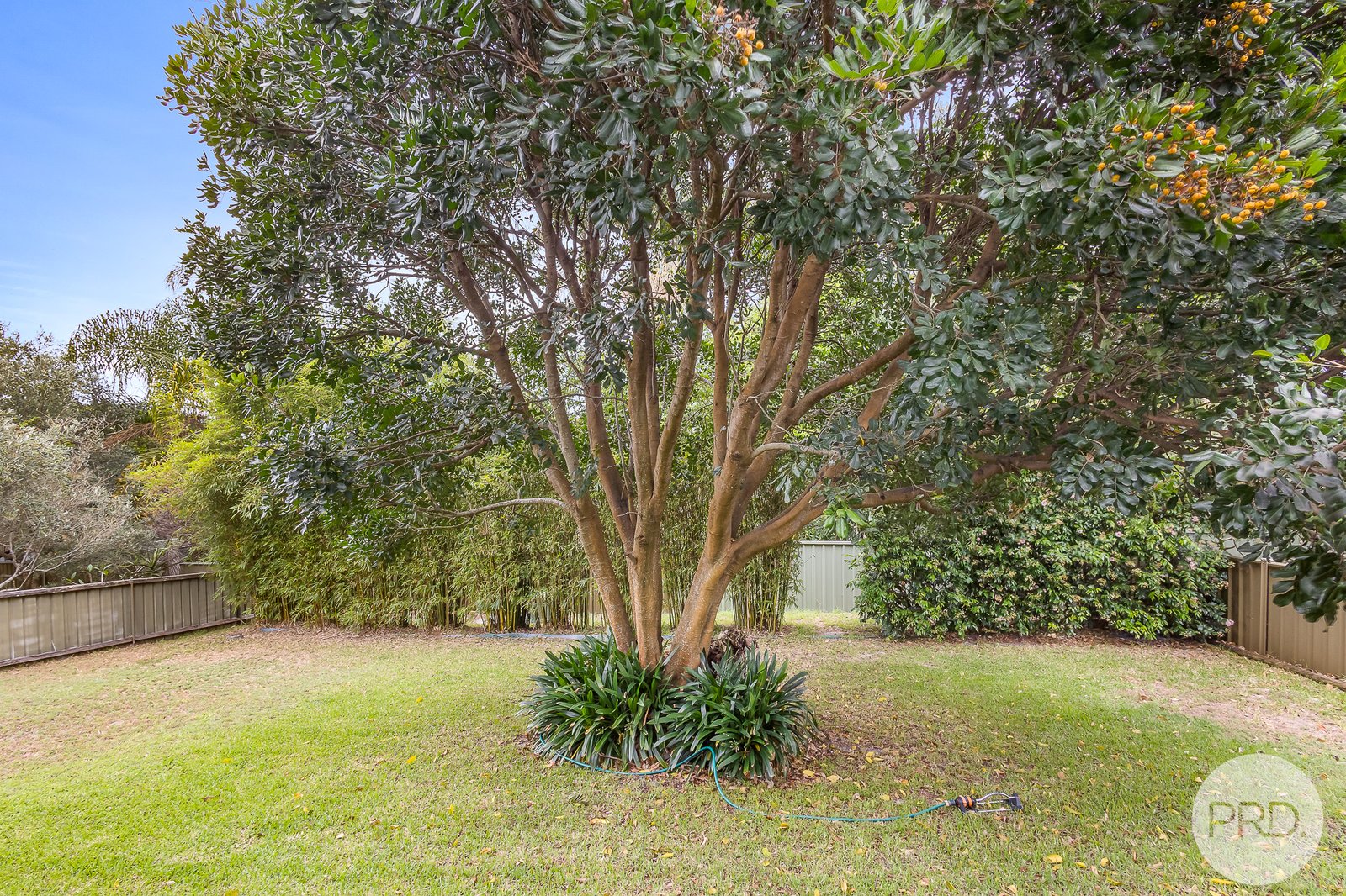 59 Corrie Parade CORLETTE 27