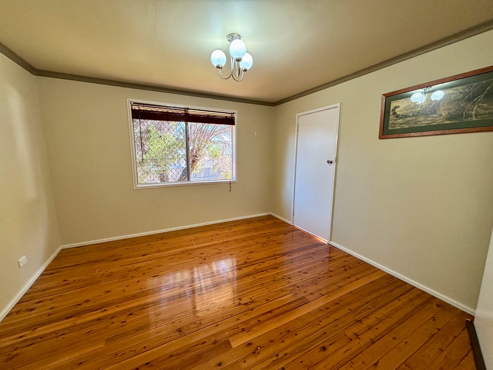 59 Edward Street TAMWORTH 2