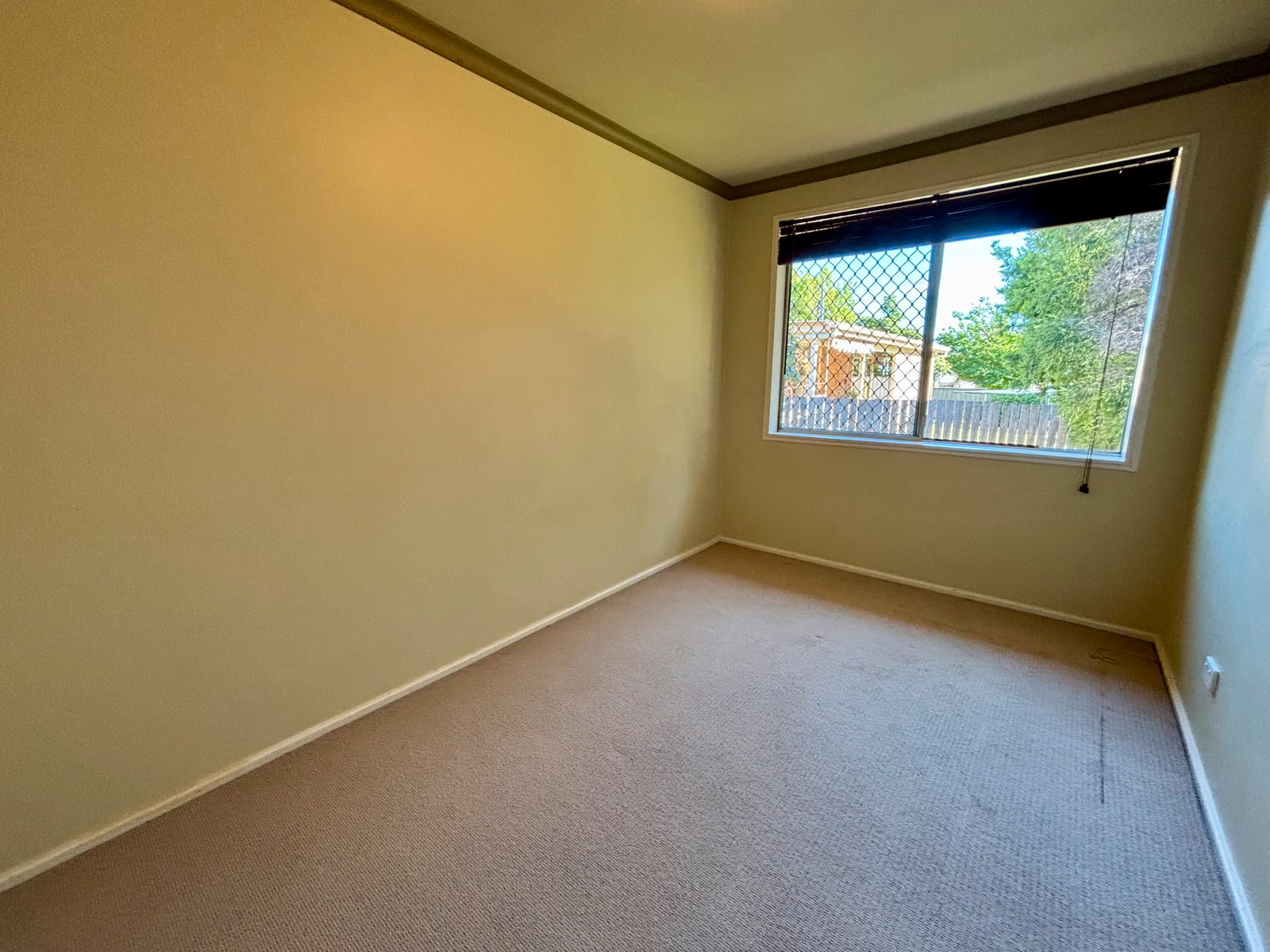 59 Edward Street TAMWORTH 6