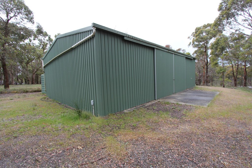 59 Guys Road MAIN LEAD 1