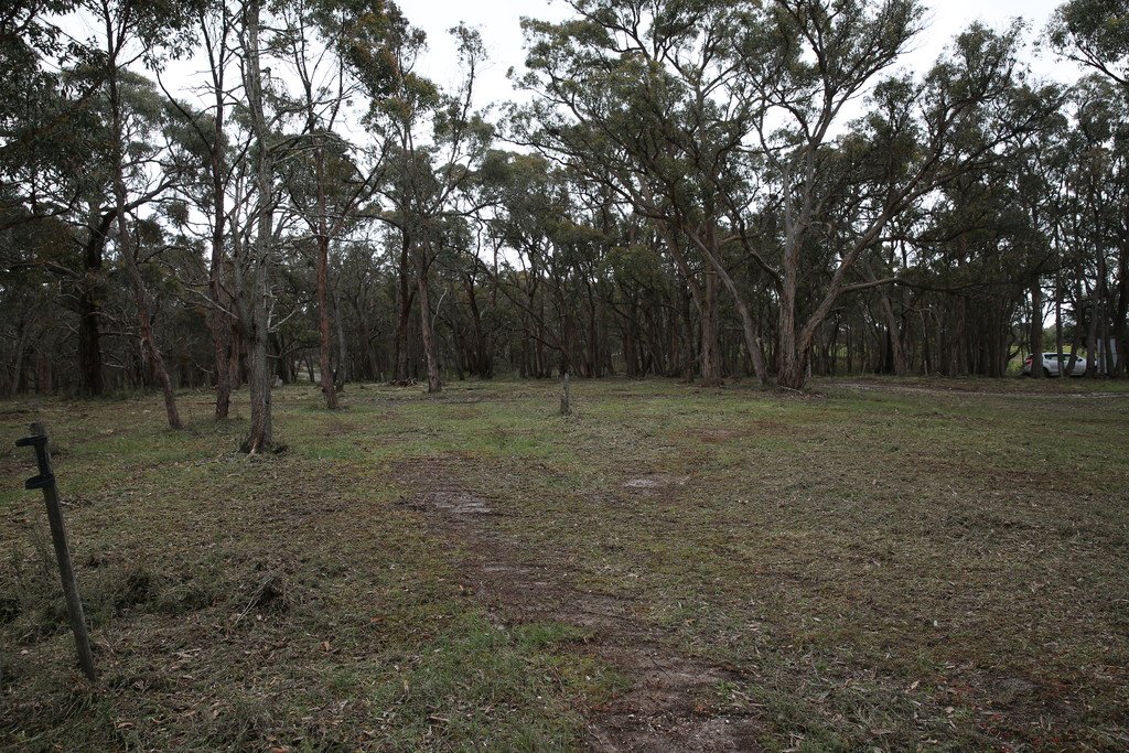 59 Guys Road MAIN LEAD 3