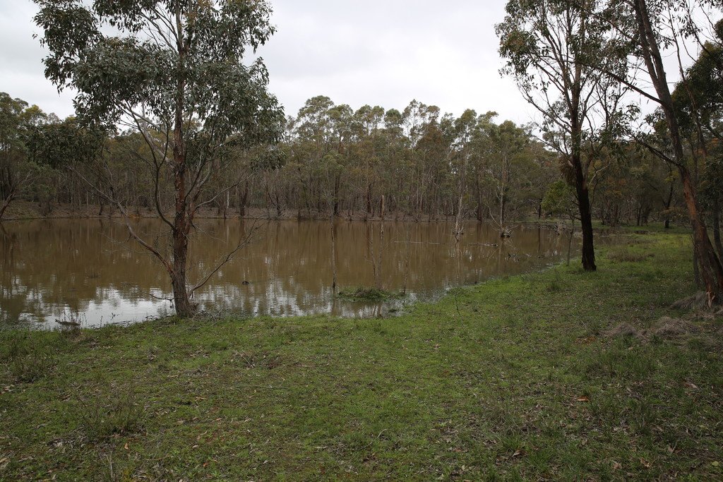 59 Guys Road MAIN LEAD 4