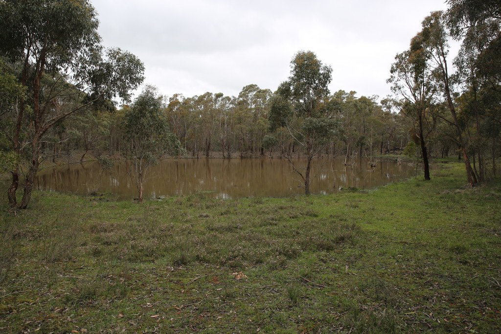 59 Guys Road MAIN LEAD 5