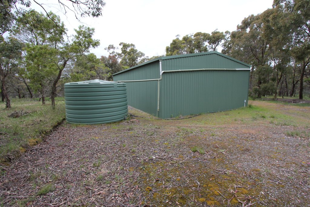 59 Guys Road MAIN LEAD 6