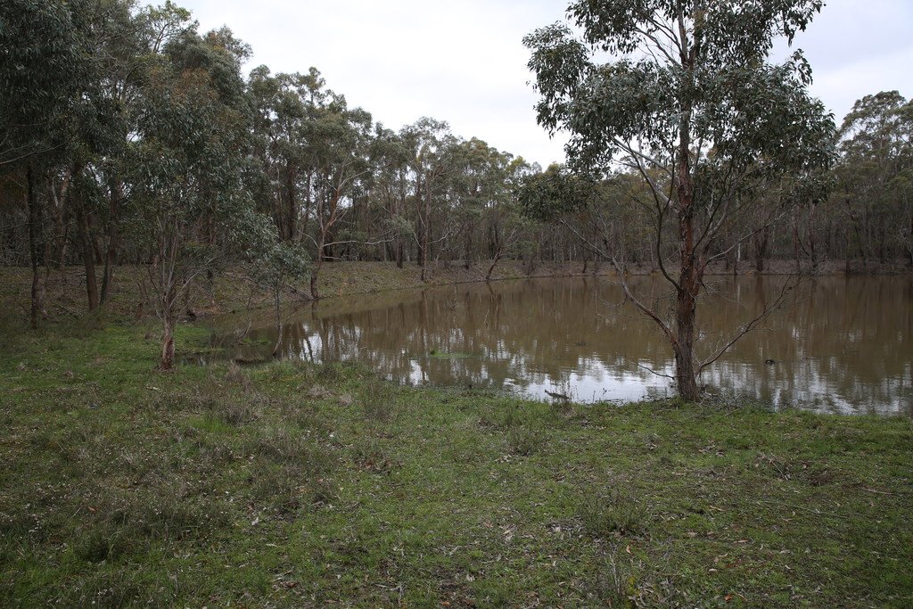 59 Guys Road MAIN LEAD 9