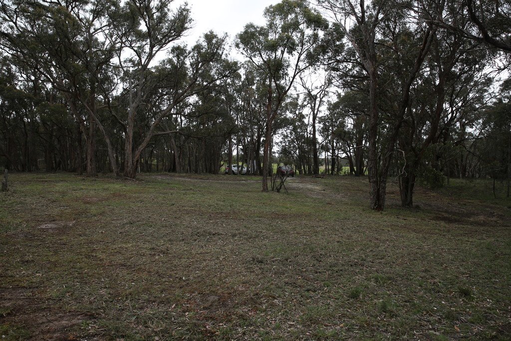 59 Guys Road MAIN LEAD 10