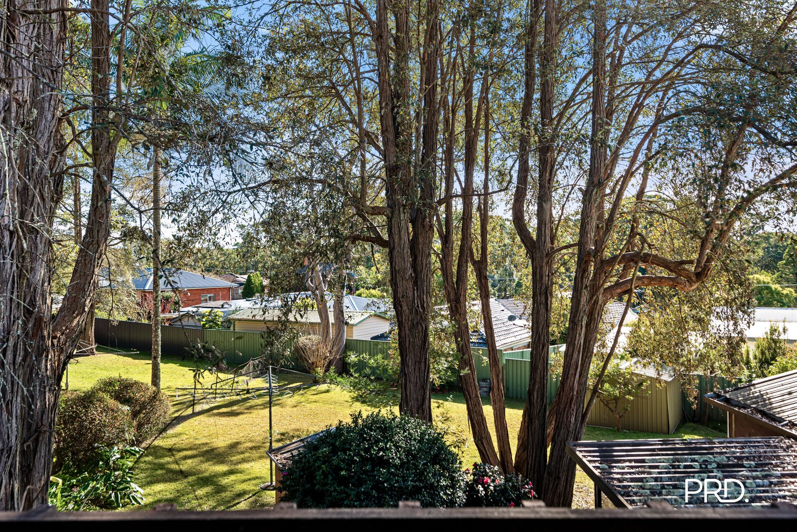 59 Linksview Road SPRINGWOOD 13
