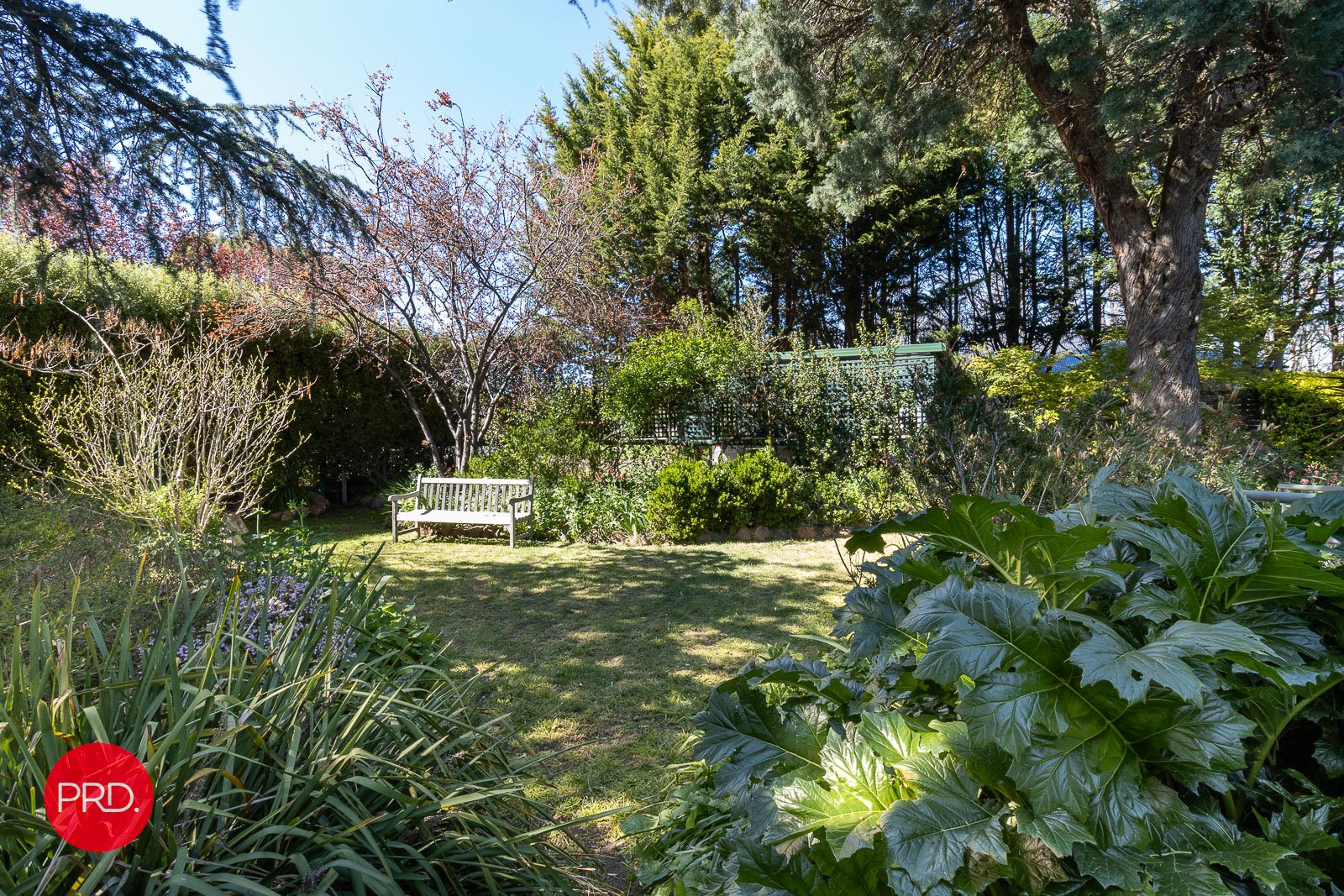 59 Molonglo Street BUNGENDORE 5