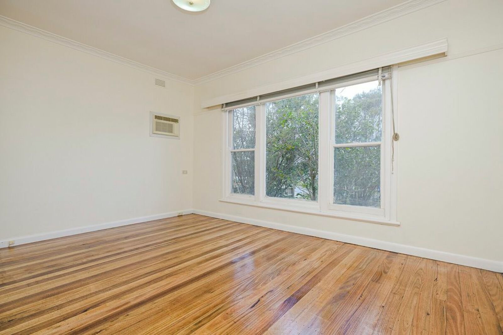 59 Pascoe Street, Glen Iris, 3146