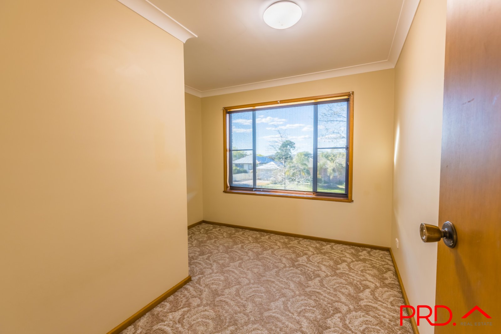 59 Susanne Street TAMWORTH 13