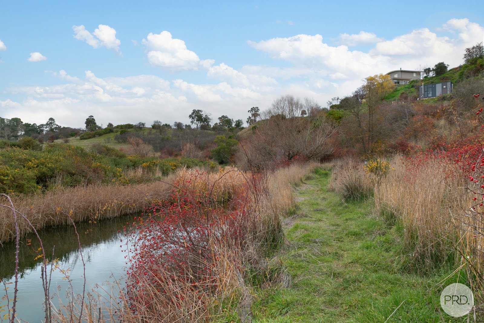59 Thornton Street CLUNES 19