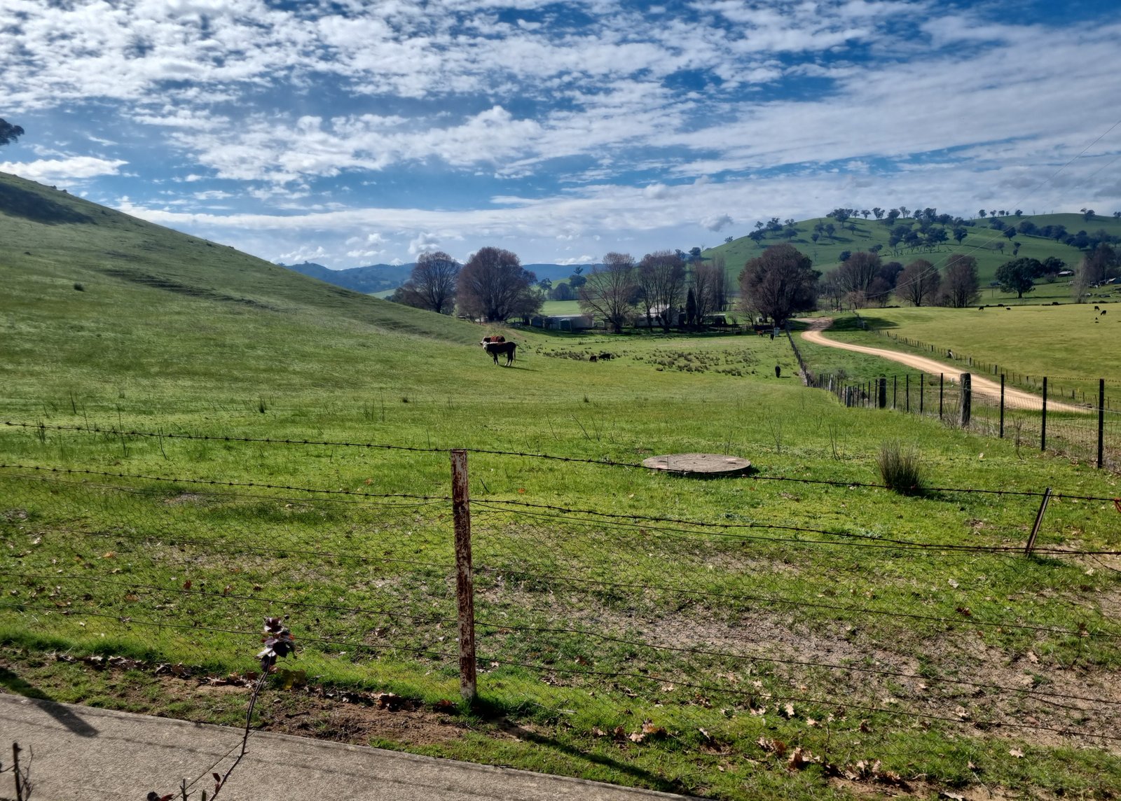 59 Twomeys Lane BOMBOWLEE 8