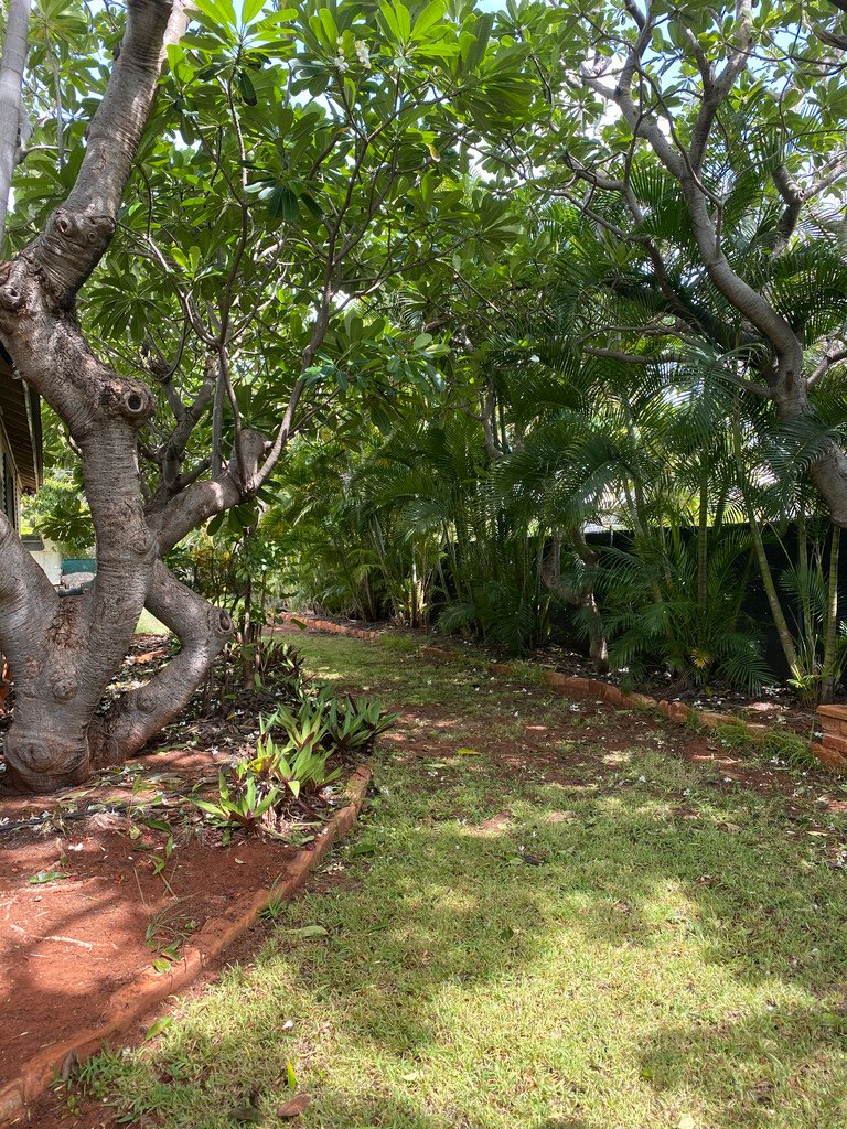 59 Walcott Street BROOME 2