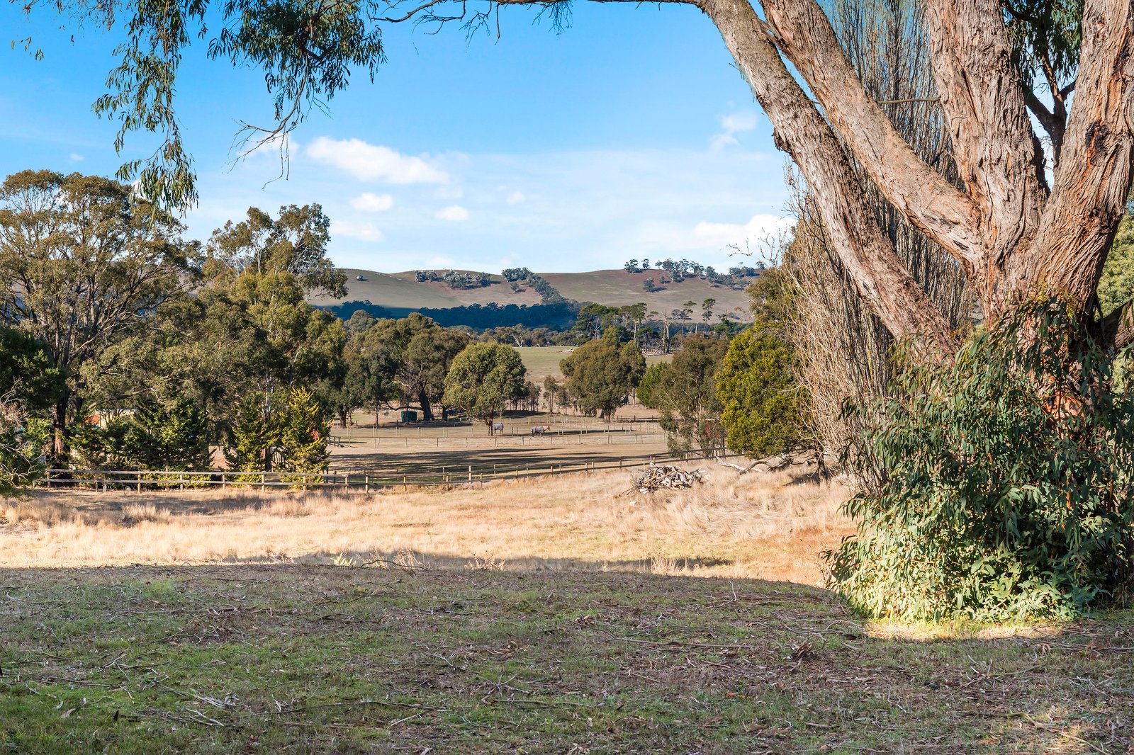 Real Estate and Property in 59 Woodvale Crescent, Lancefield, VIC