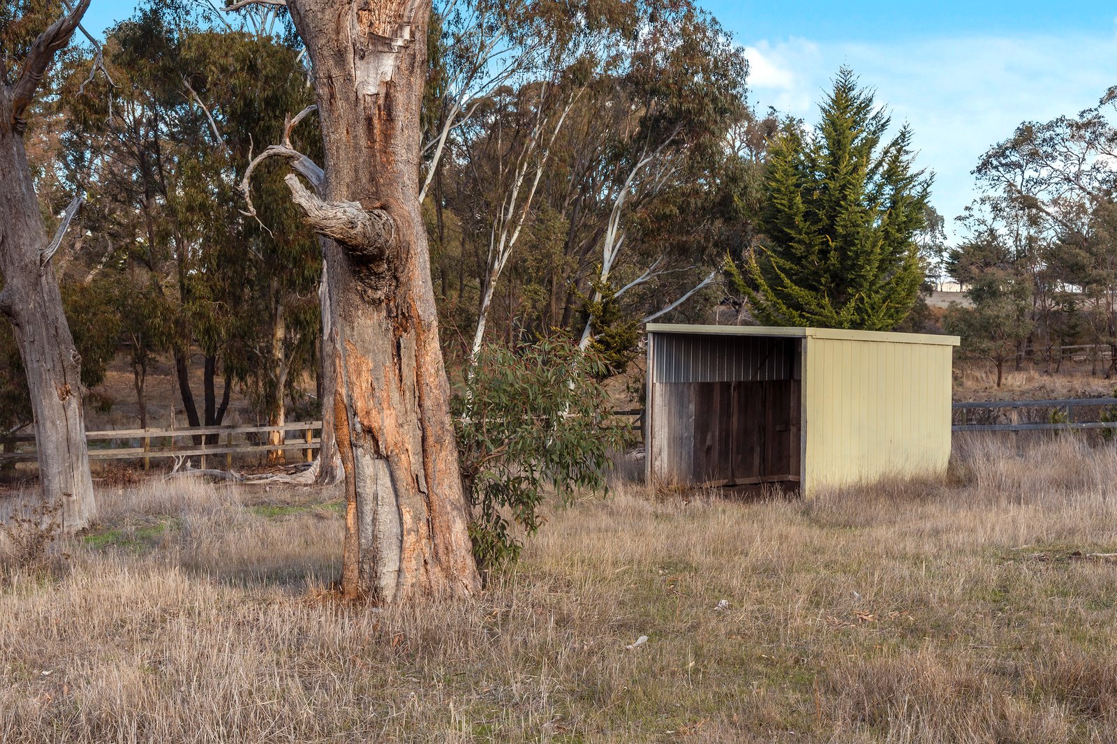 Real Estate and Property in 59 Woodvale Crescent, Lancefield, VIC