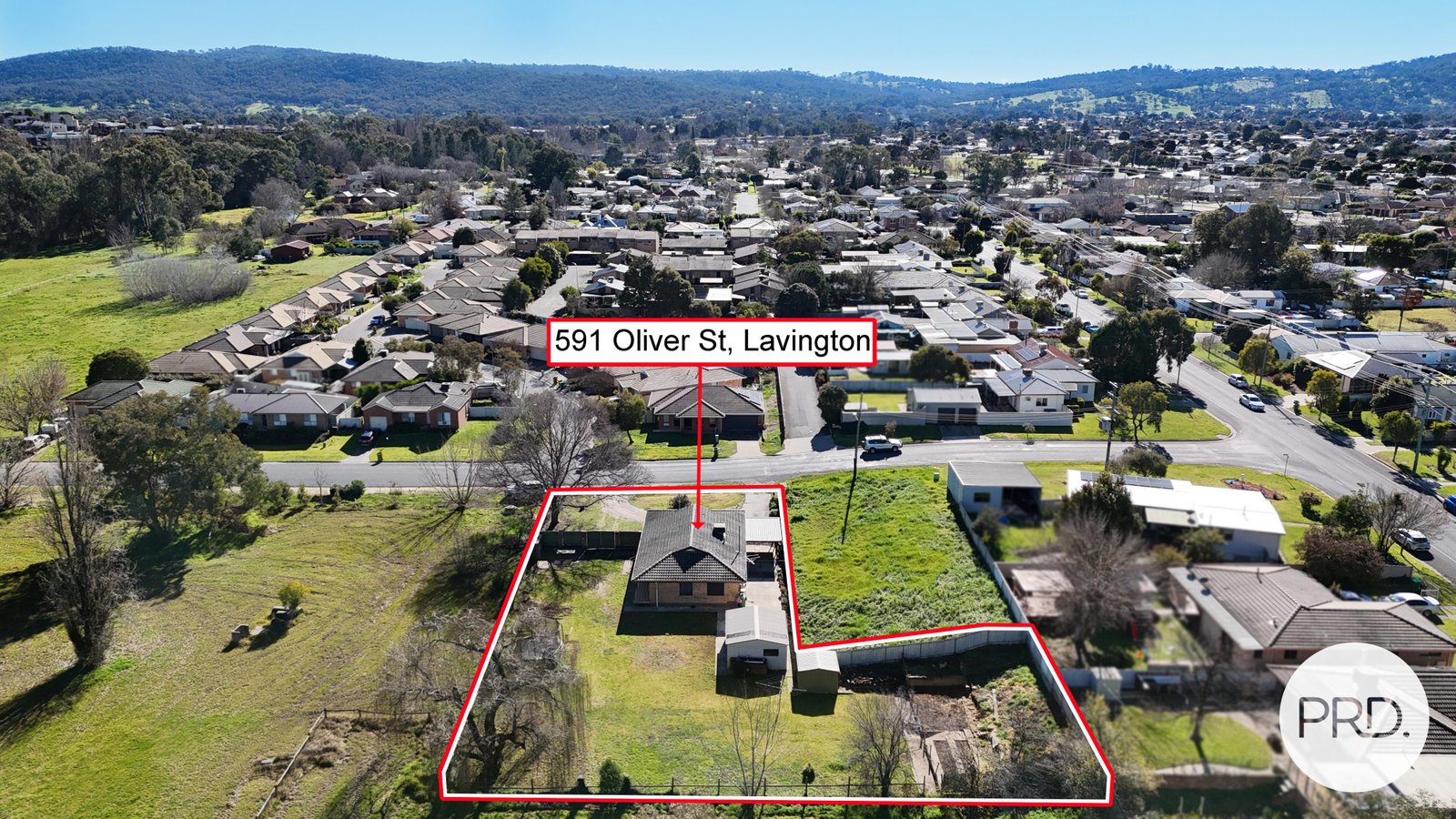 591 Oliver Street LAVINGTON 2