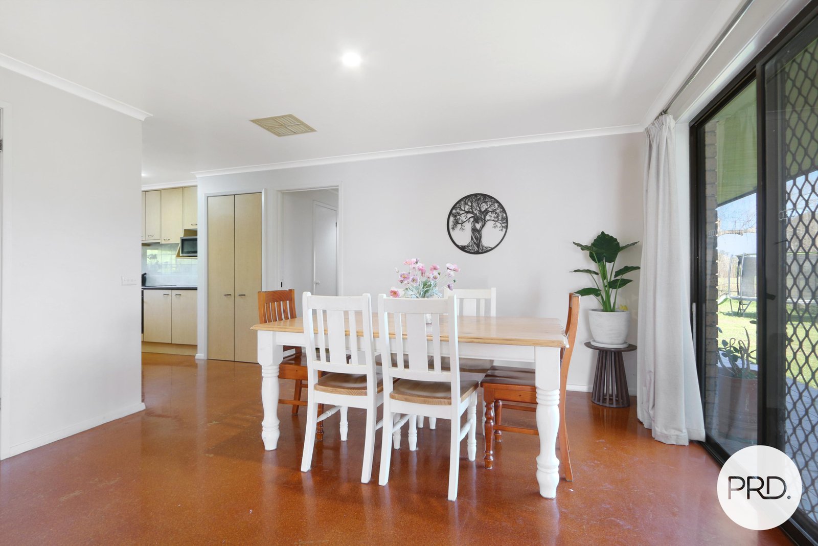 591 Oliver Street LAVINGTON 6