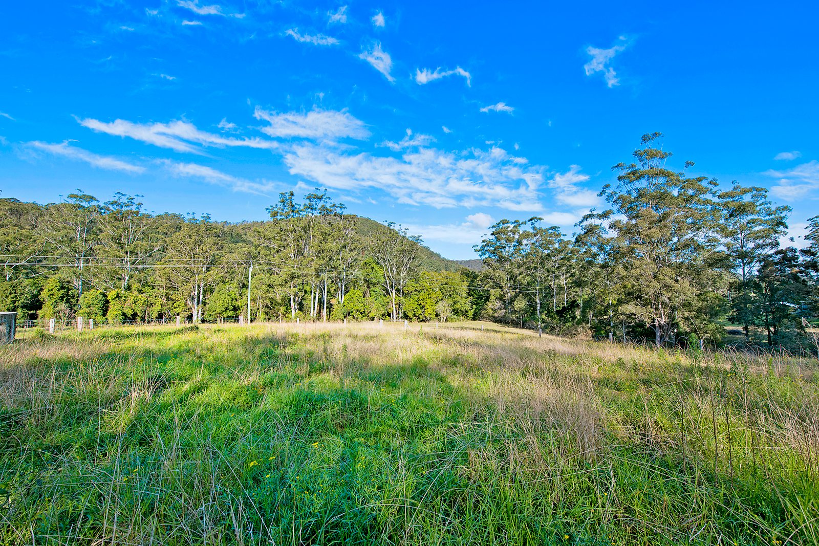 595 Lorne Road UPSALLS CREEK 2
