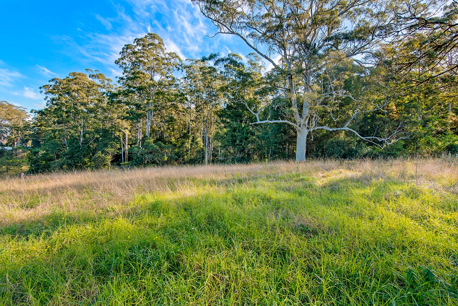595 Lorne Road UPSALLS CREEK 10