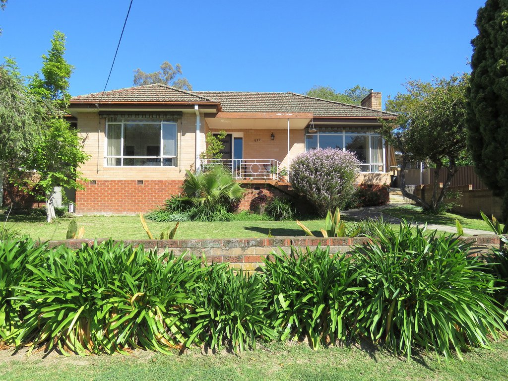 597 Paine Street ALBURY 1