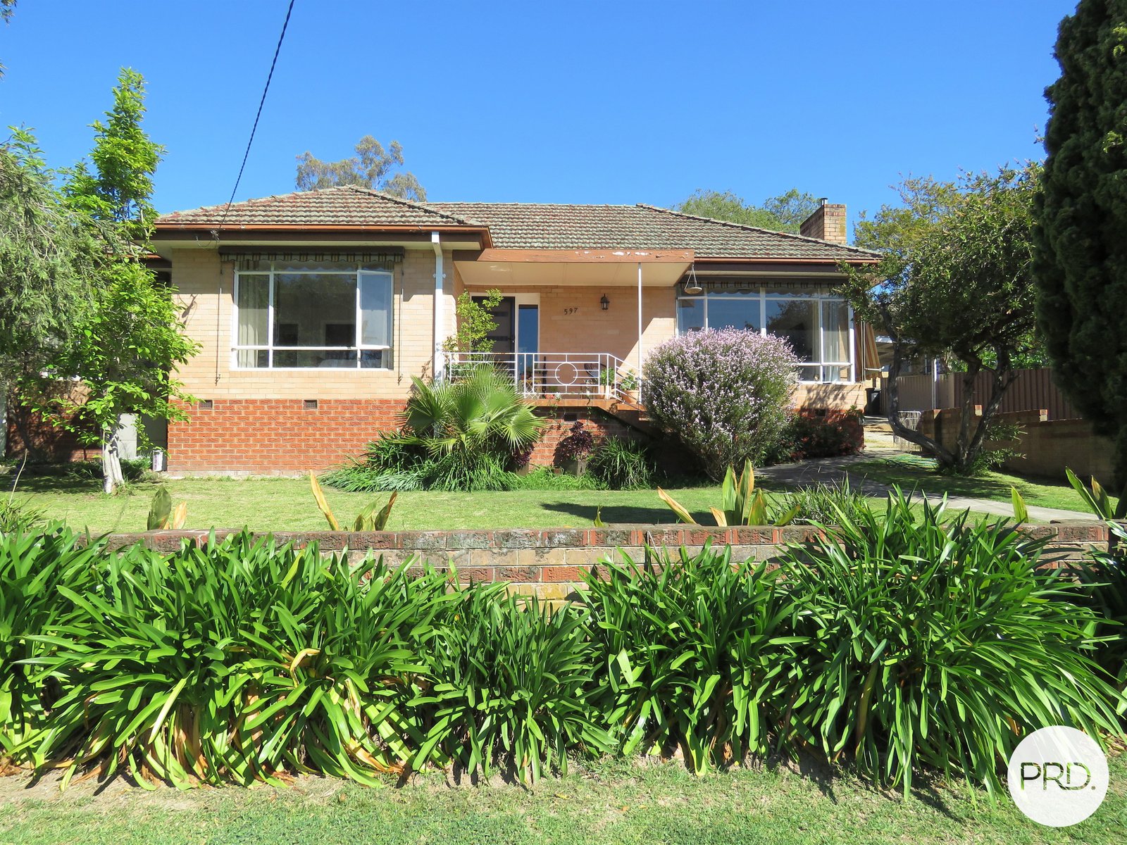 597 Paine Street ALBURY 1