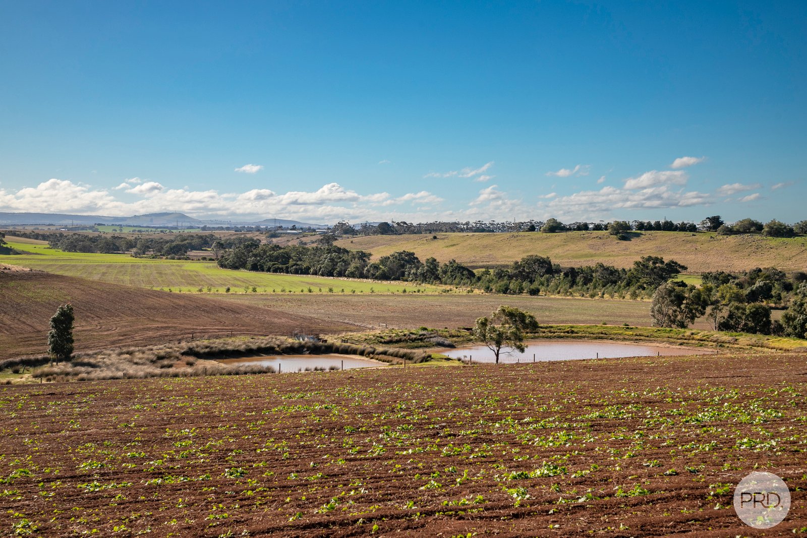 598 Steiglitz Road SUTHERLANDS CREEK 7
