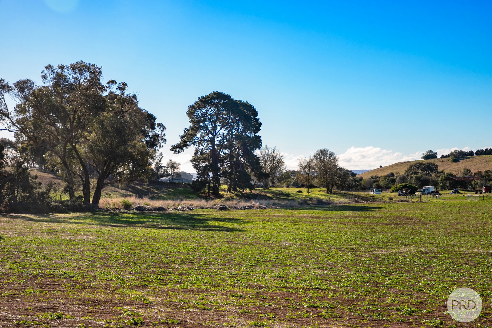 598 Steiglitz Road SUTHERLANDS CREEK 8