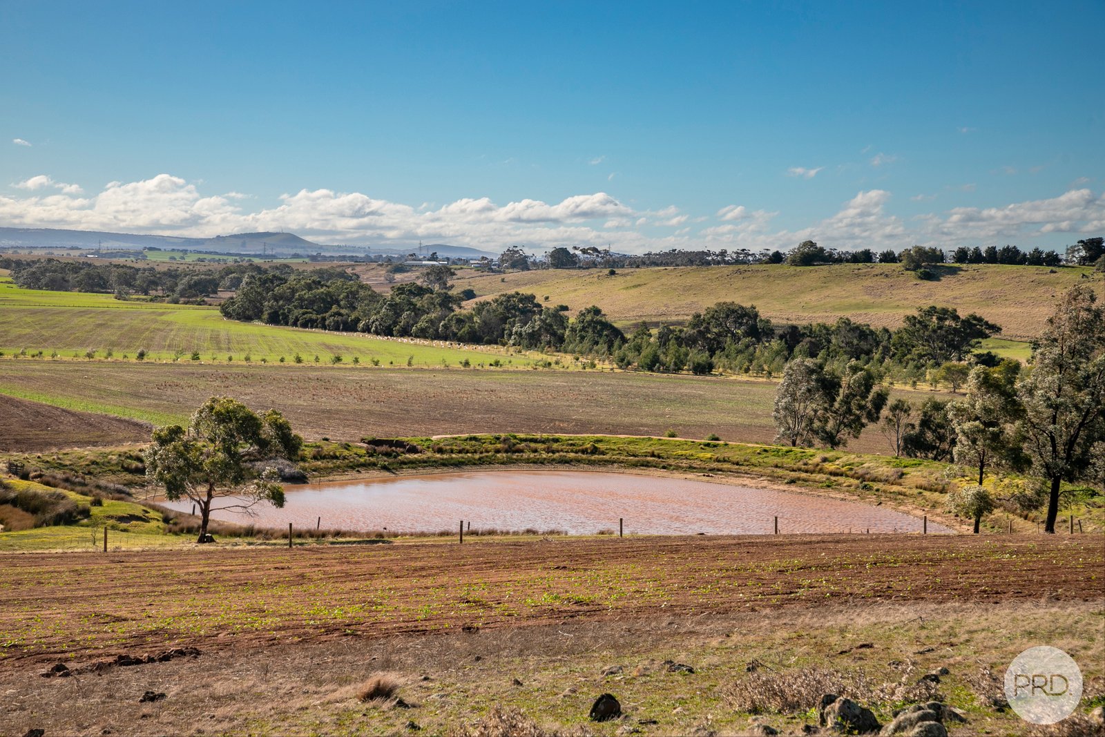 598 Steiglitz Road SUTHERLANDS CREEK 9