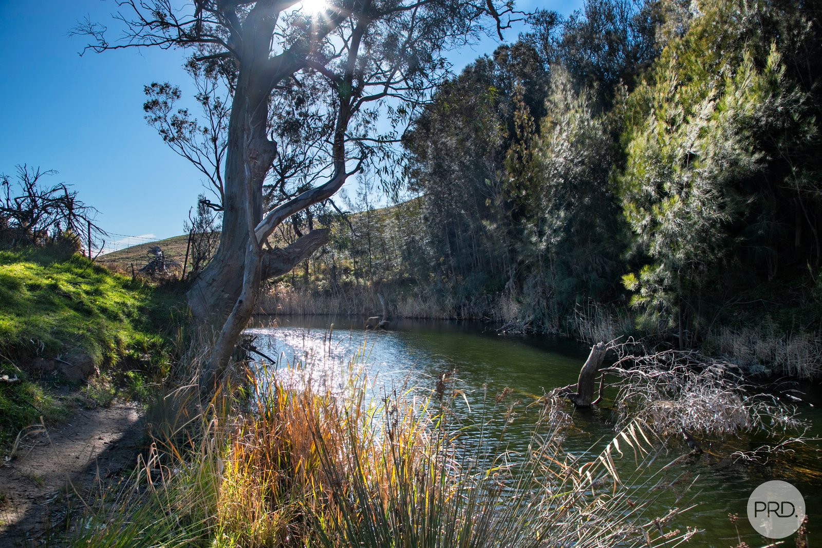 598 Steiglitz Road SUTHERLANDS CREEK 10