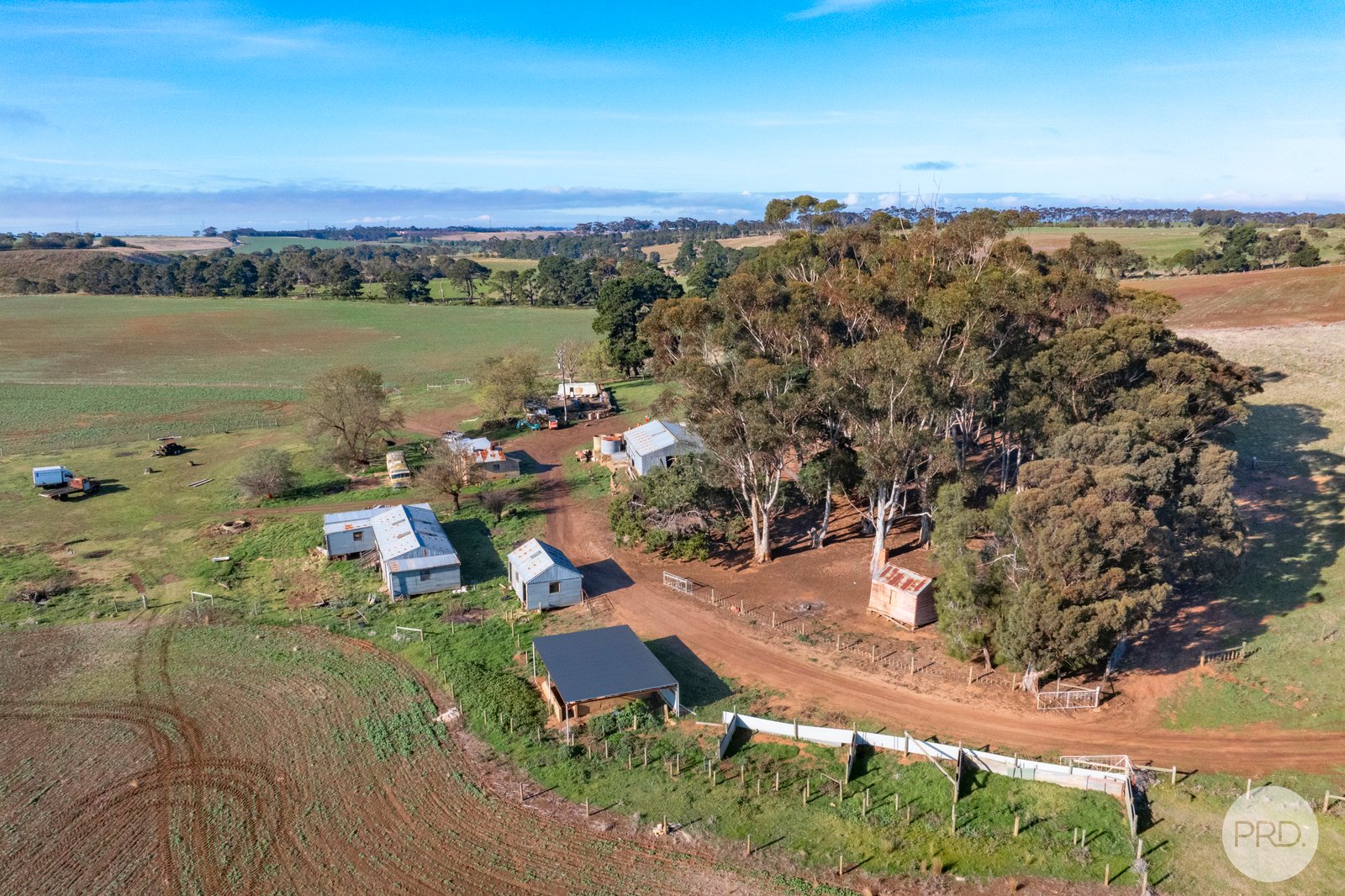 598 Steiglitz Road SUTHERLANDS CREEK 11