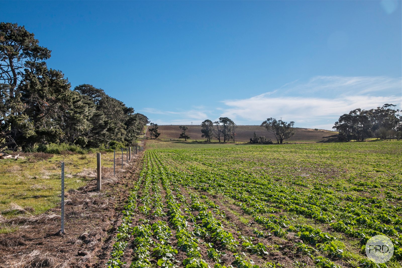 598 Steiglitz Road SUTHERLANDS CREEK 14