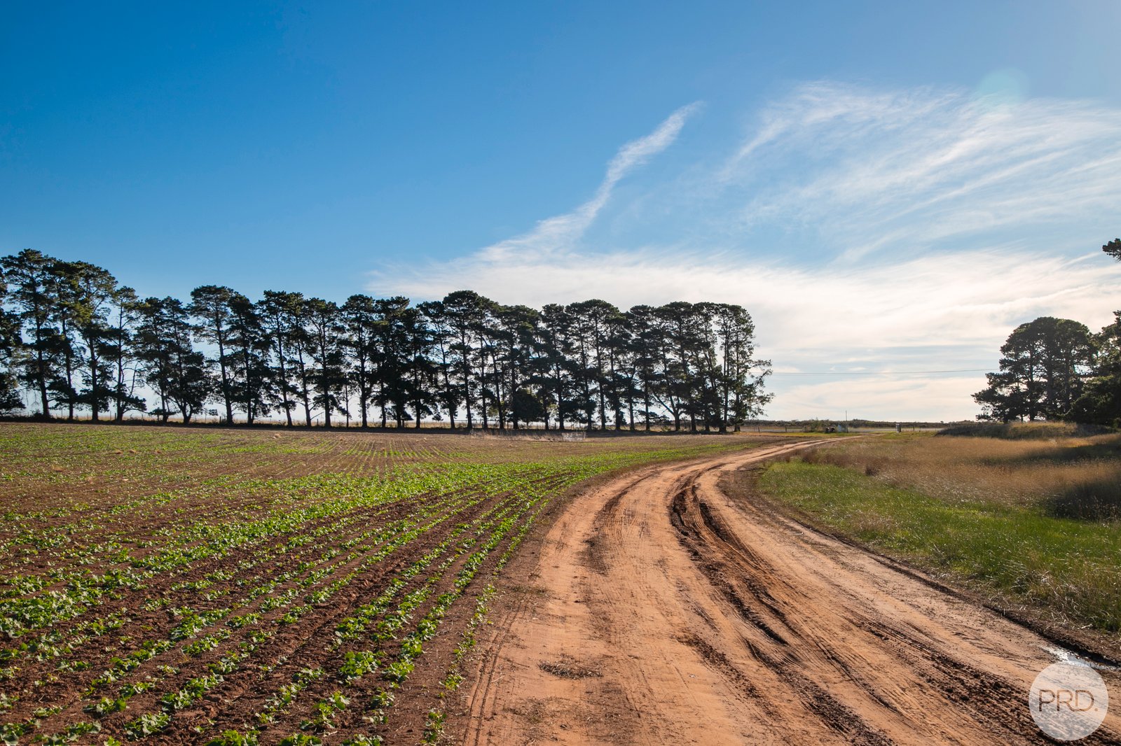 598 Steiglitz Road SUTHERLANDS CREEK 15