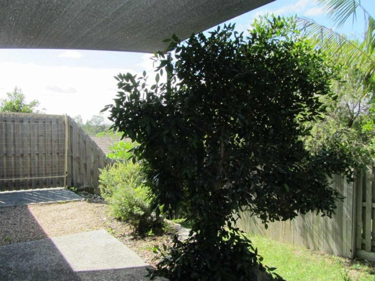 5B Reagan Close Pimpama 6