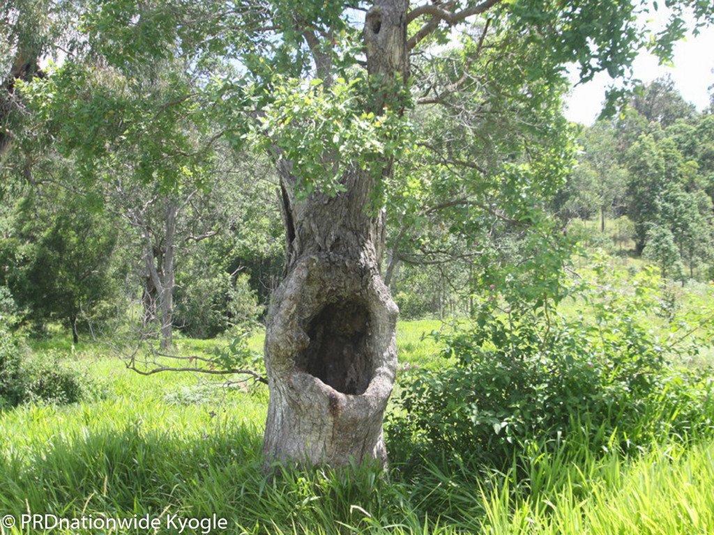 5//DP263202 Oxbow Road CAWONGLA 17